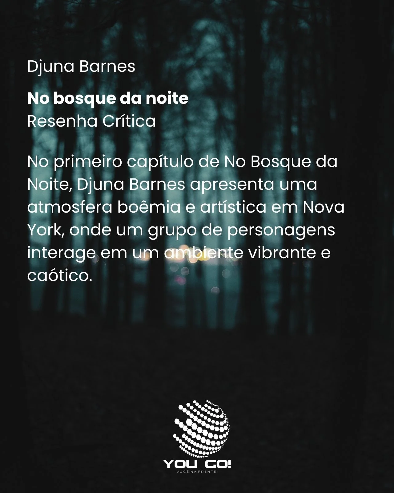 No bosque da noite