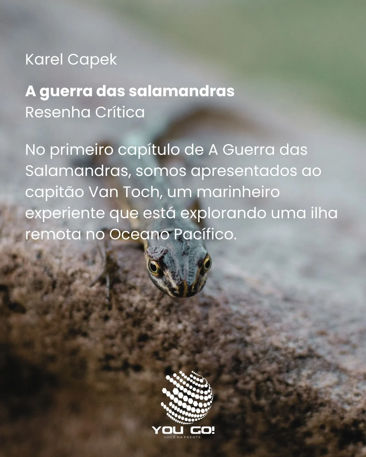 A guerra das salamandras