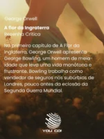 A flor da Ingraterra