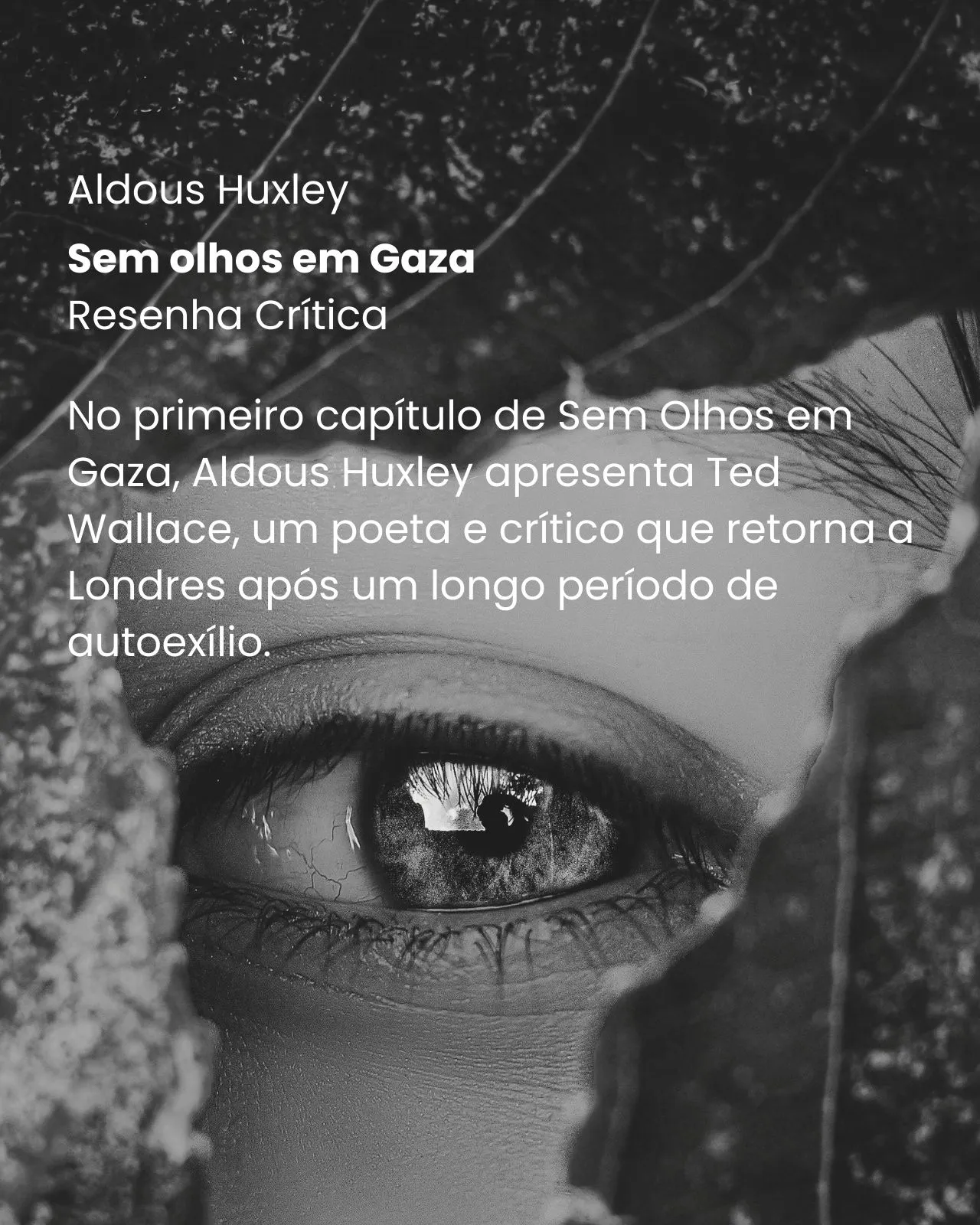 Sem olhos em Gaza