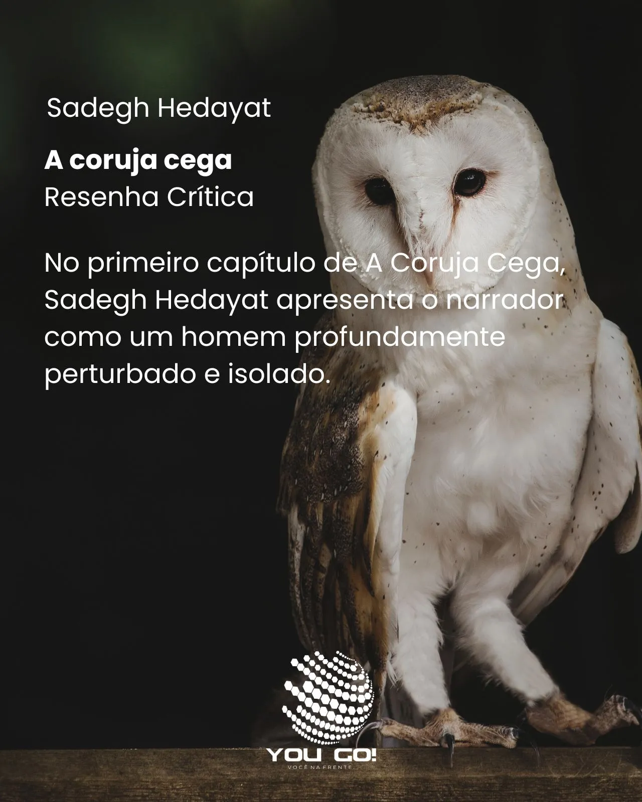A coruja cega