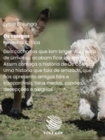 Os colegas – Lygia Bojunga