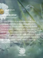 Feitiço de amor – Louise Erdrich