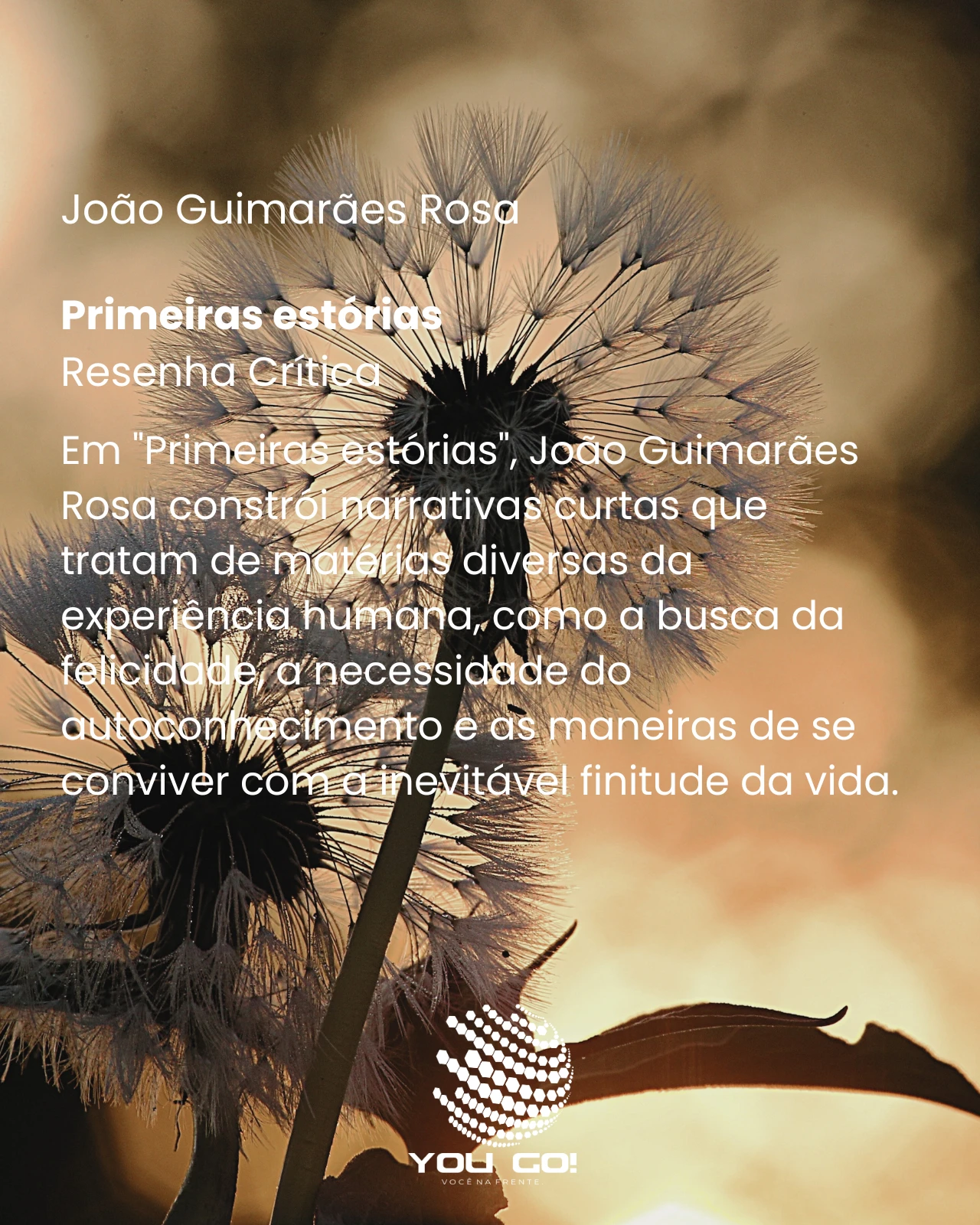 Primeiras estórias – João Guimarães Rosa