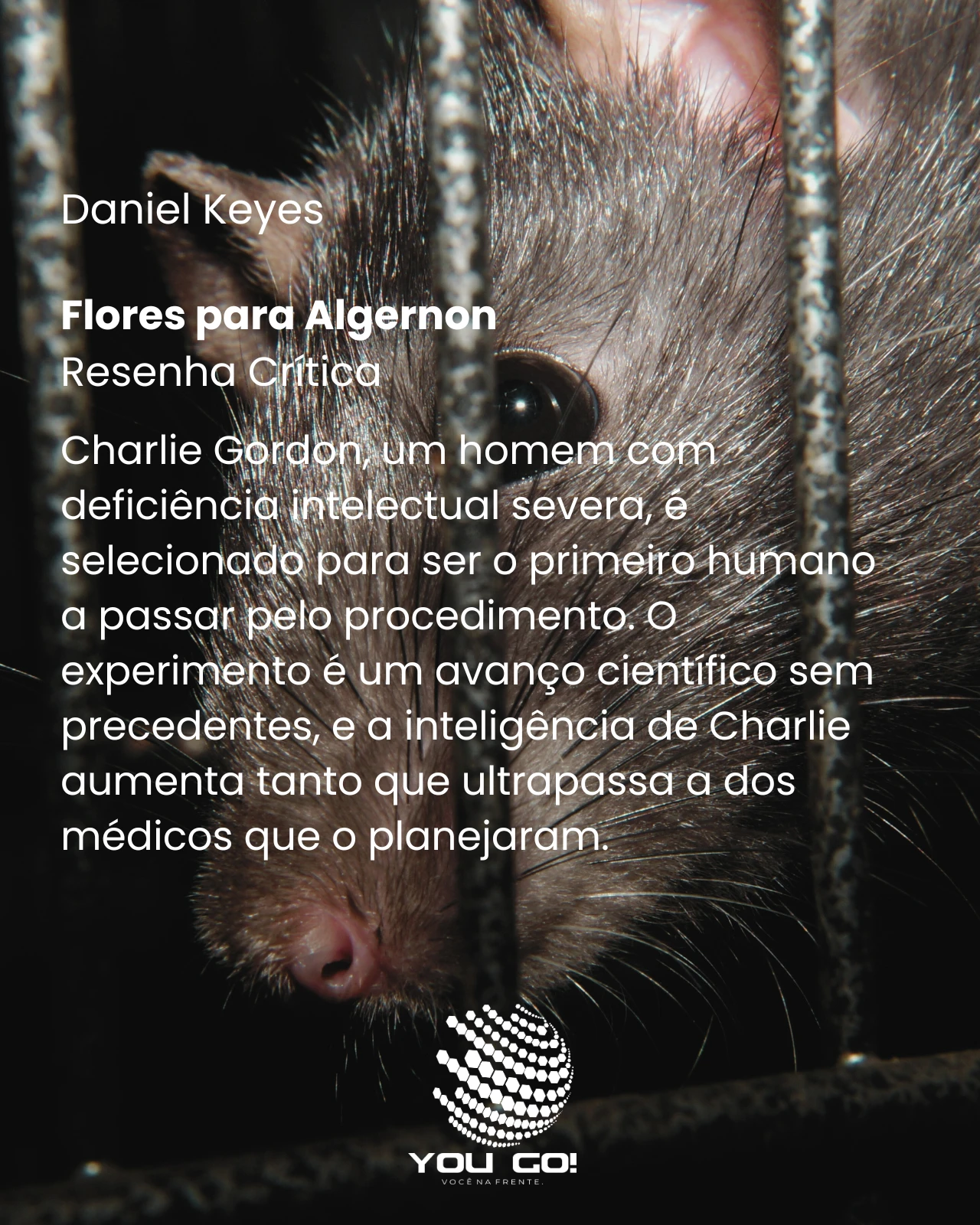 Flores para Algernon – Daniel Keyes