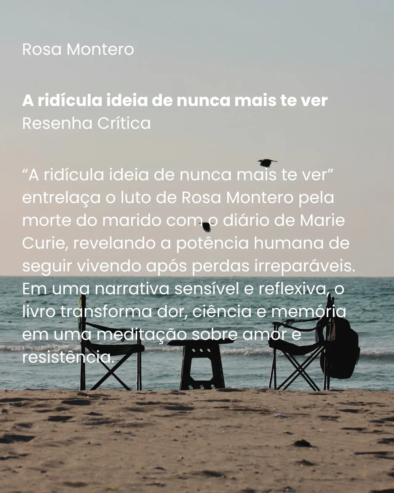 A Ridícula Ideia de Nunca Mais Te Ver