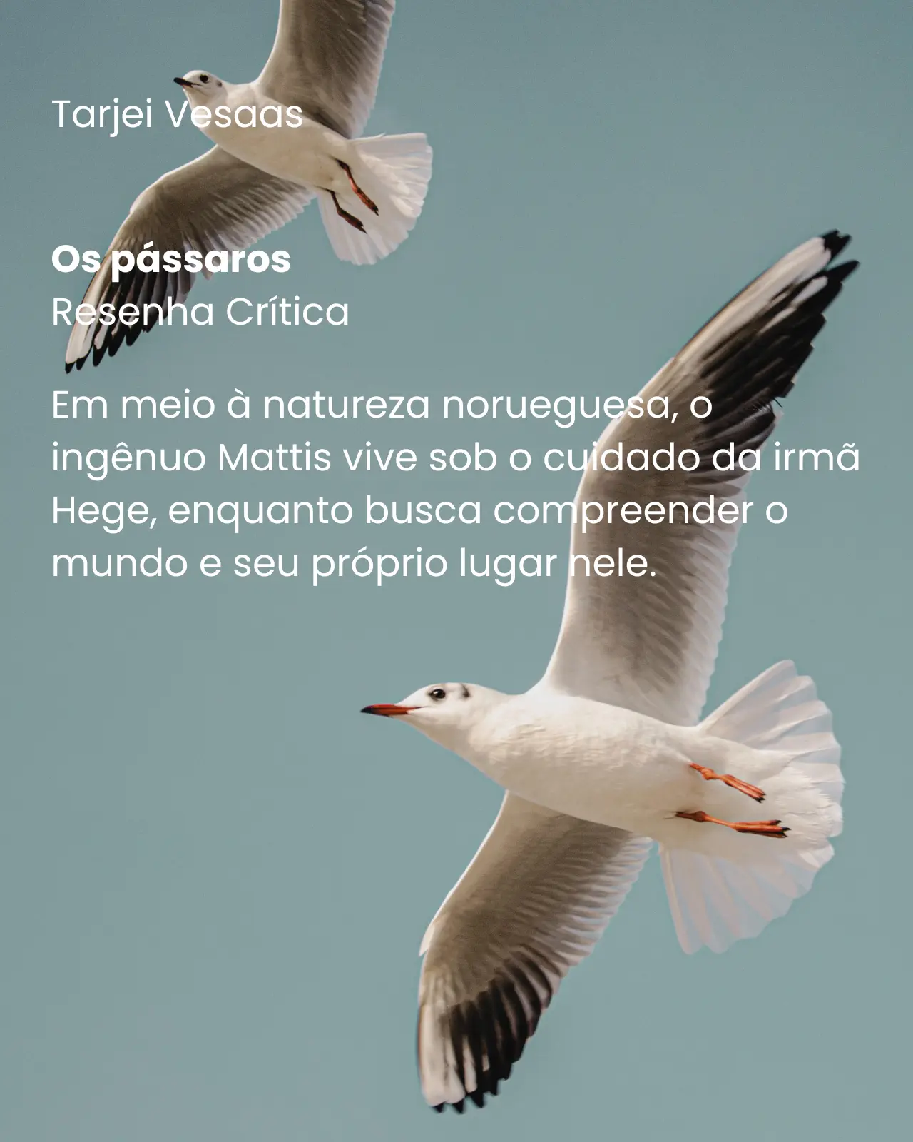 Os Pássaros