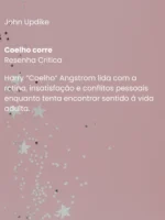 O livro Coelho Corre, de John Updike