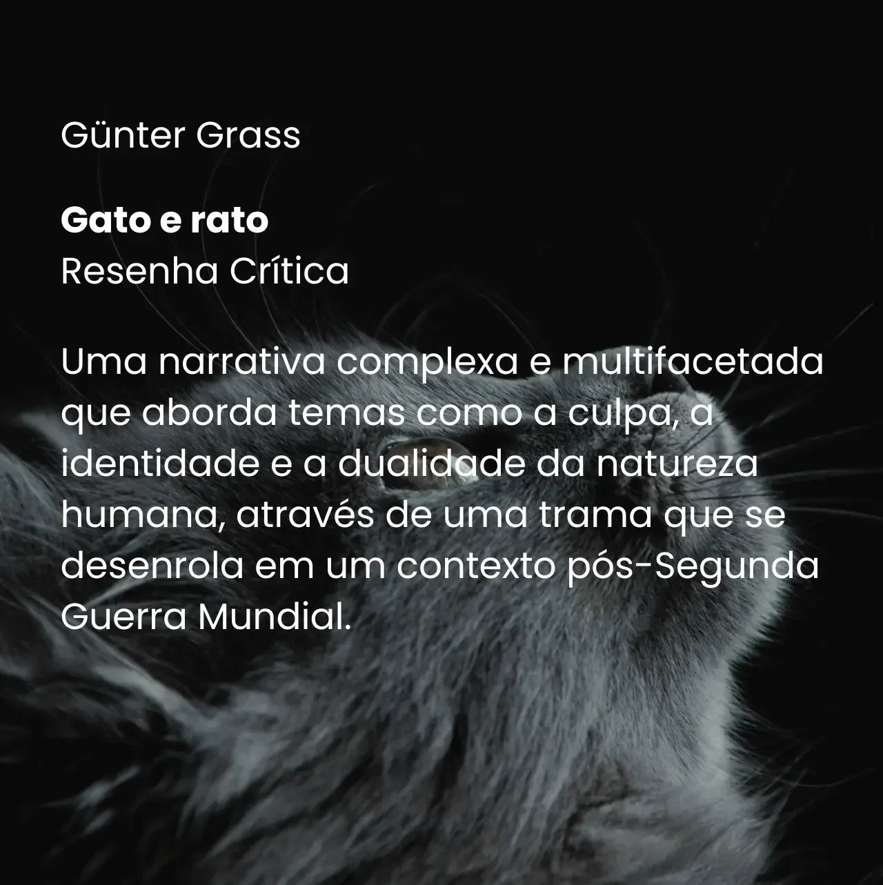 O livro Gato e Rato- Günter Grass