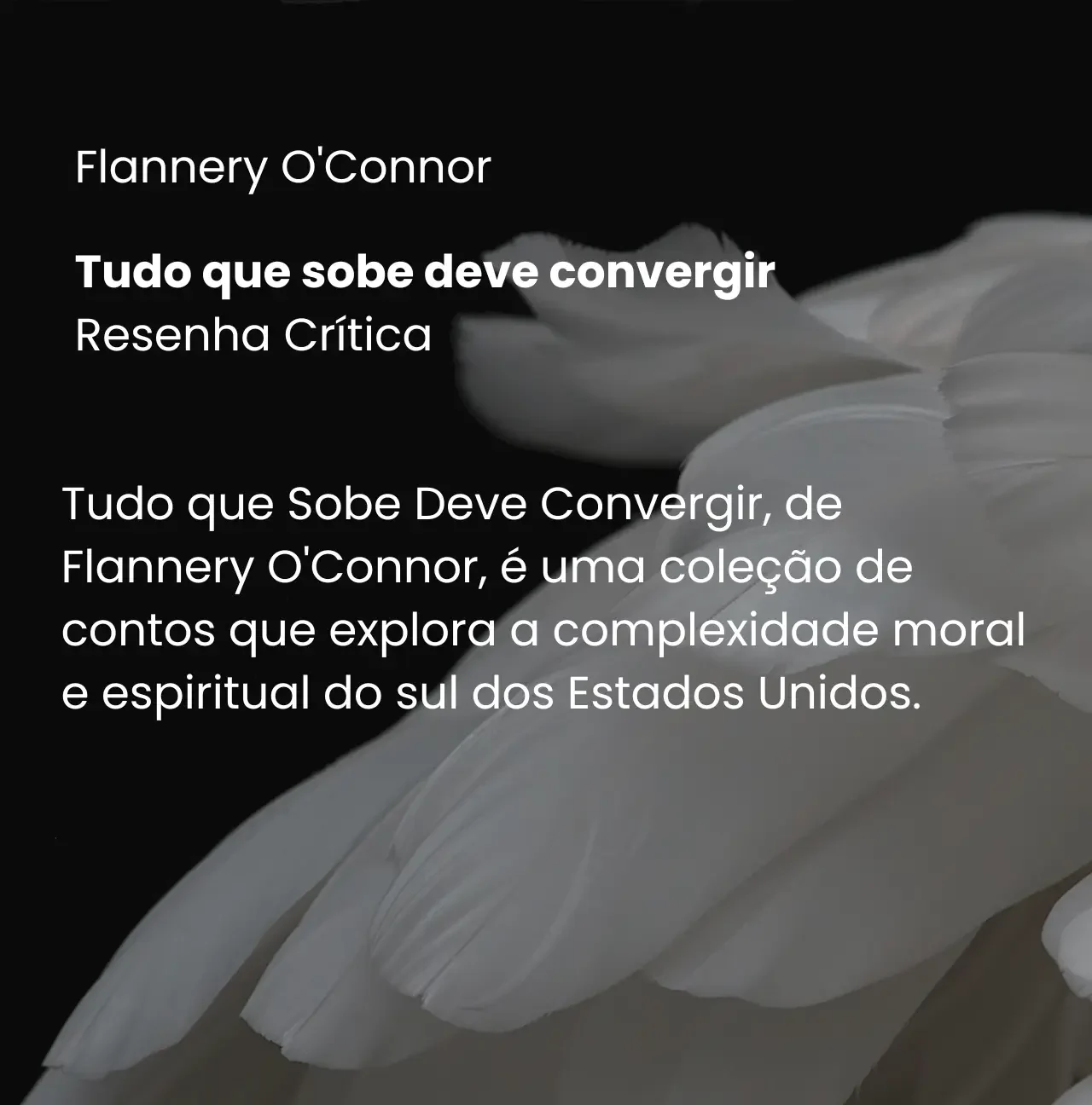Tudo que sobe deve convergir - Flannery O'Connor