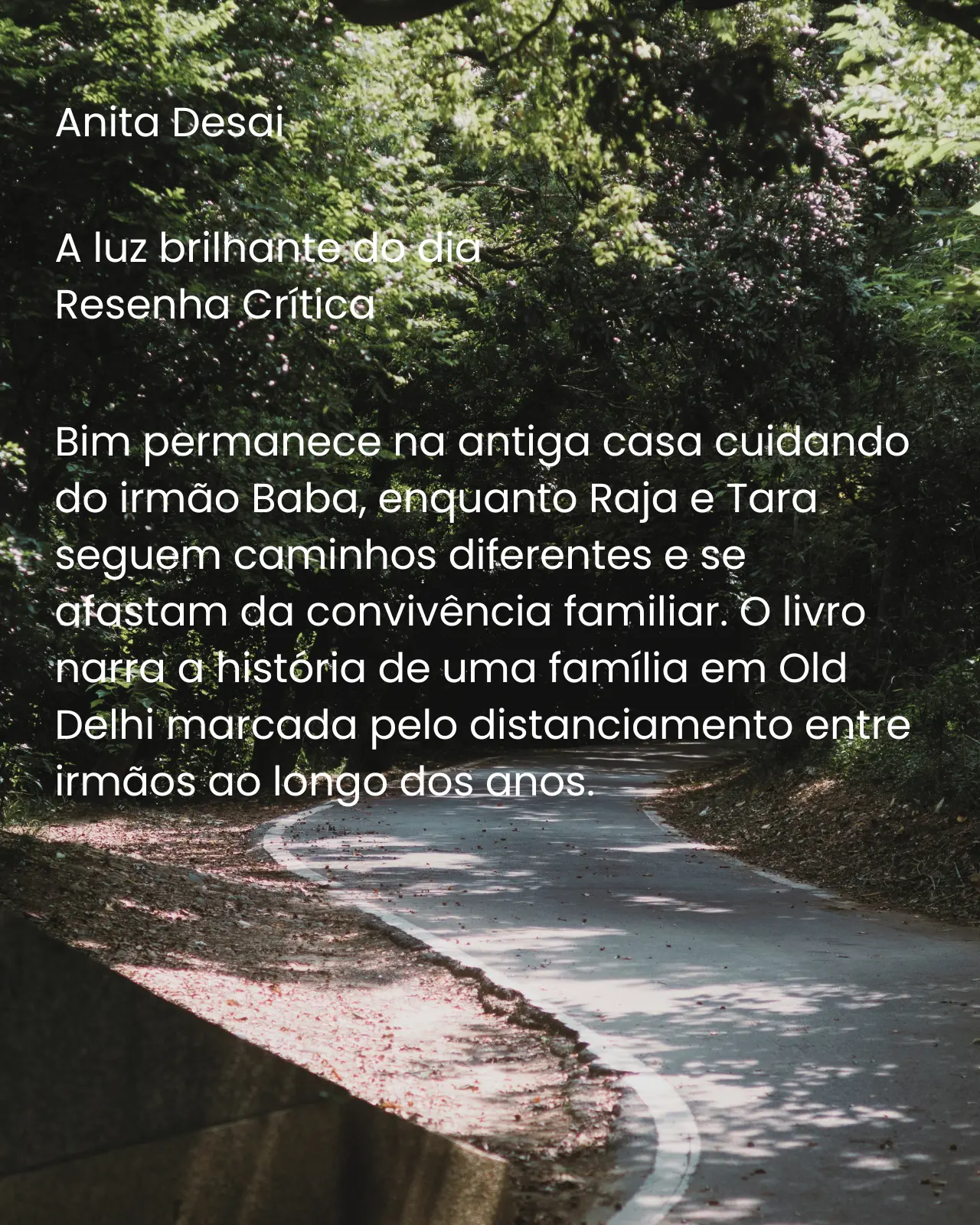 A luz brilhante do dia - Anita Desai