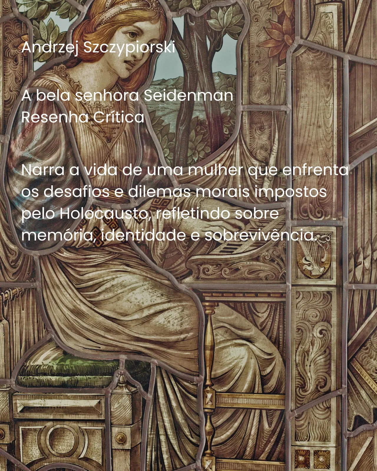 A bela senhora Seidenman - Andrzej Szczypiorski